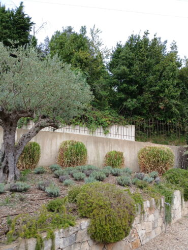 entretien paysager et jardin